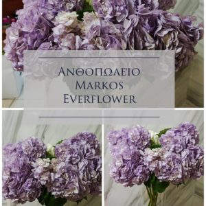 EVERFLOWER ΜΑΡΚΟΣ