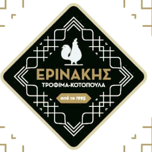 ΕΡΙΝΑΚΗΣ ΔΗΜΗΤΡΗΣ